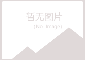 黄山黄山冰枫能源有限公司